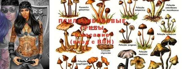 крисы Арсеньев