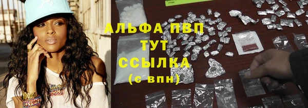 крисы Арсеньев